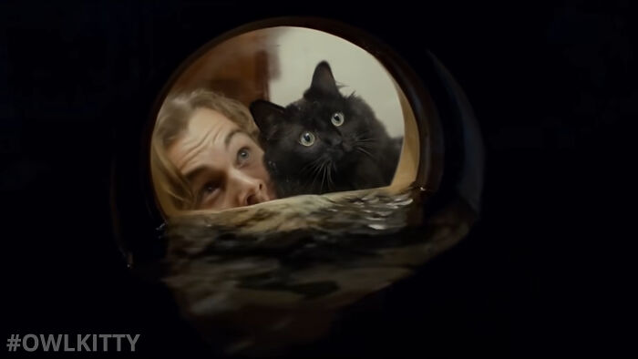 En esta versi&oacute;n mejorada de Titanic hay un gato, y el resultado es divertid&iacute;simo