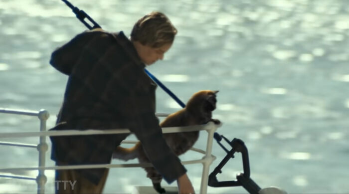 En esta versi&oacute;n mejorada de Titanic hay un gato, y el resultado es divertid&iacute;simo