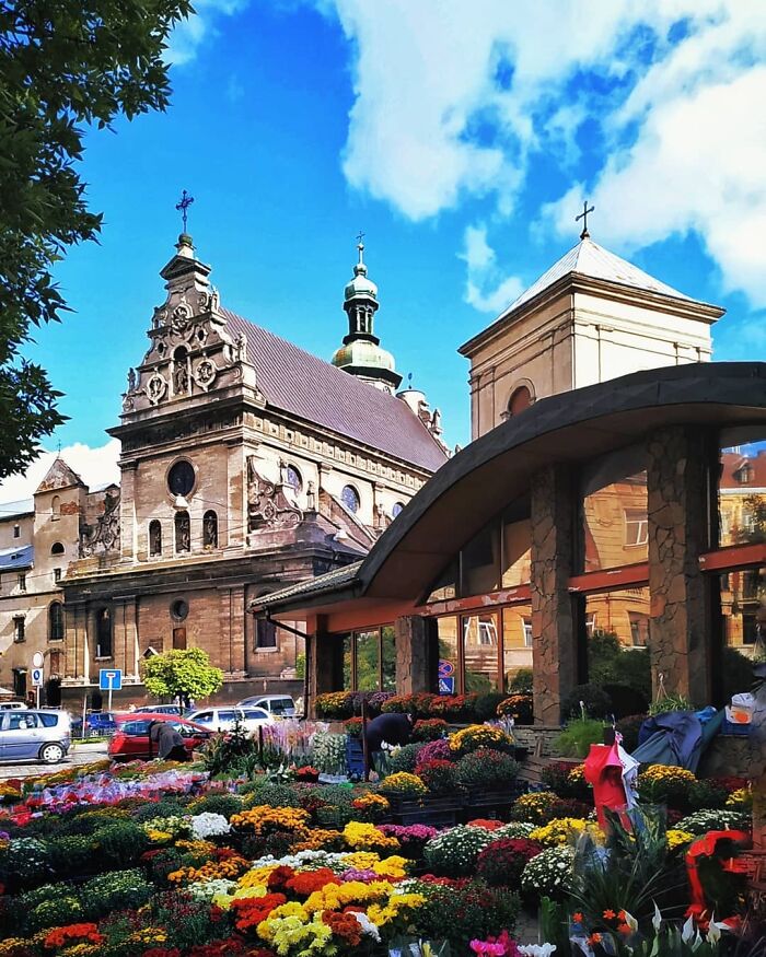 Warm Autumn Day In Lviv