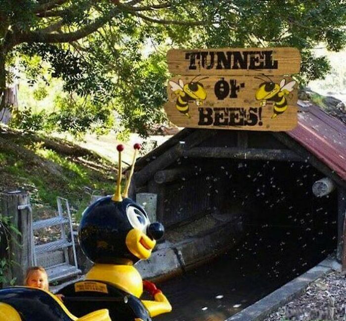 Oprah Winfrey’s Favorite Ride
#bees #beesarecoming #cursedmemes #cursedmeme #creepy #cursedimagedealer