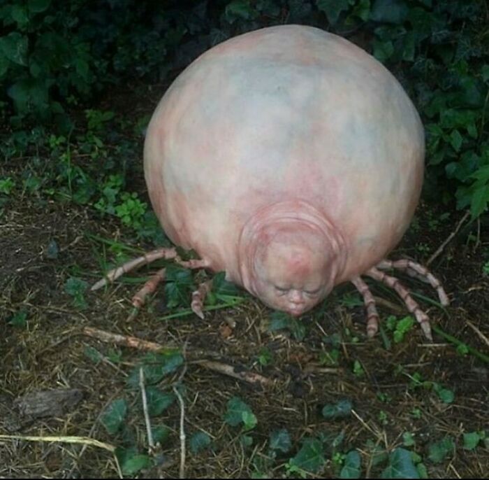 This Is Your Child. What Will You Name Them?
#cursedimage #strange #cursed #cursedimagedealer