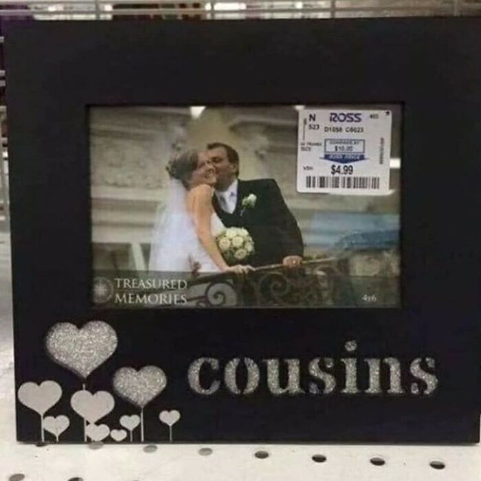 Absolutely Hilarious