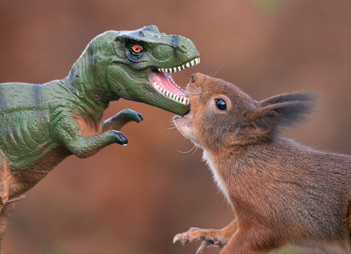 Squirrel Photographer Pays A Tribute To Steven Spielberg's Jurrasic Park