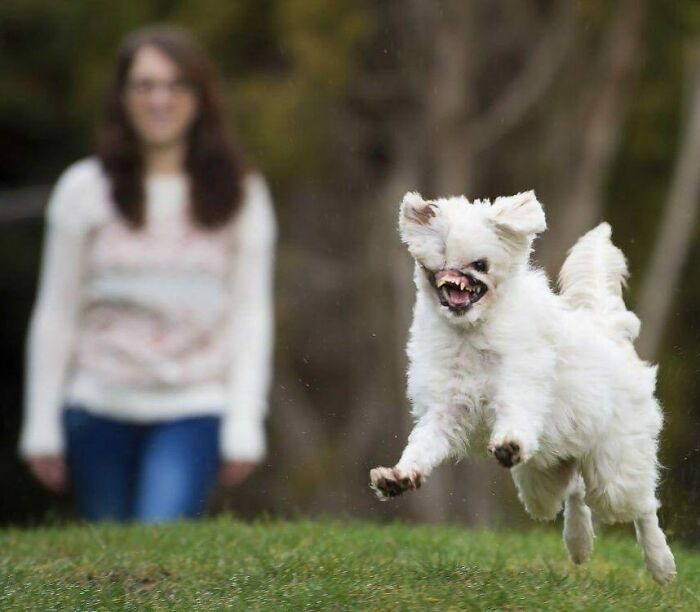 I’m Not Sure What’s Going On Here So No Offense #cursedimage #cursedimages #cursed #cursedimagedealer