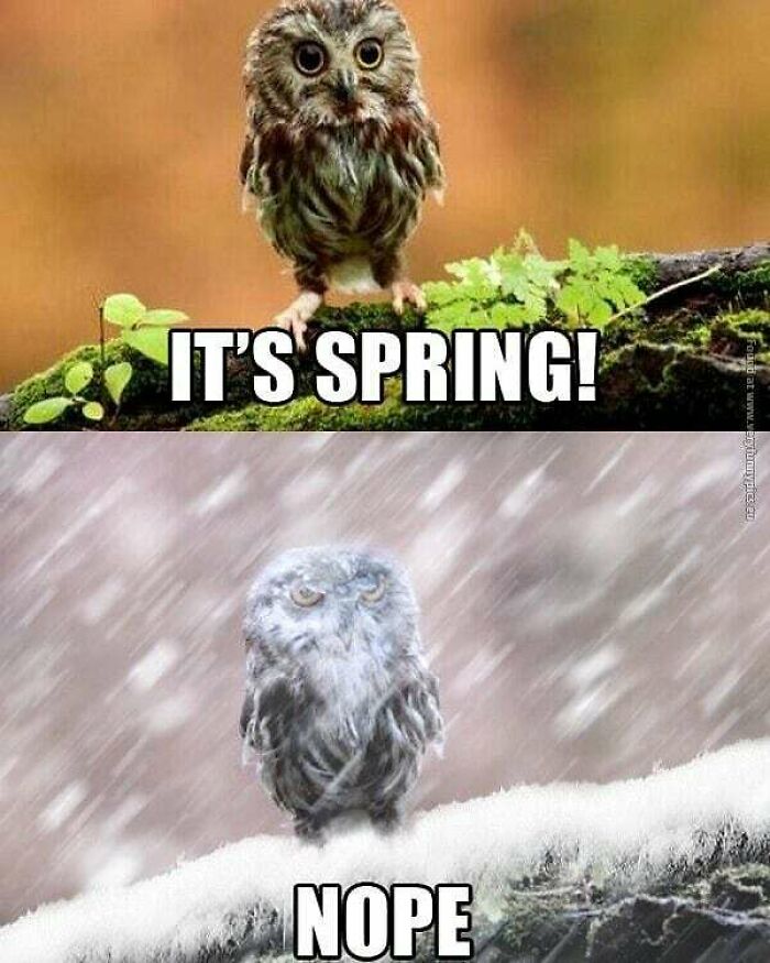 Funny-Finland-Memes-Jokes