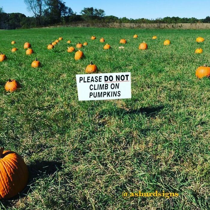 T-7 Months Until Basic Bitches Be Climbing All Over These Things In Their Ll Bean Boots And Flannels #fortheinsta