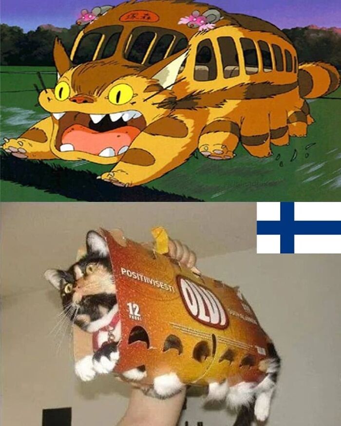Funny-Finland-Memes-Jokes