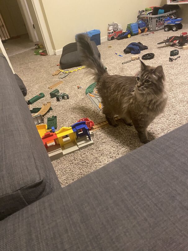 This Cute Little Devil, She Sometimes Just Appears, And Stares At Me, For No Reason.