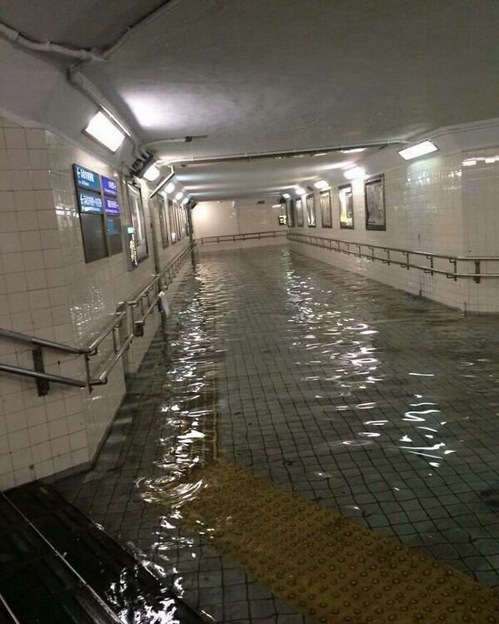 Would You Be Happy If You Woke Up And Everything Was Just A Dream