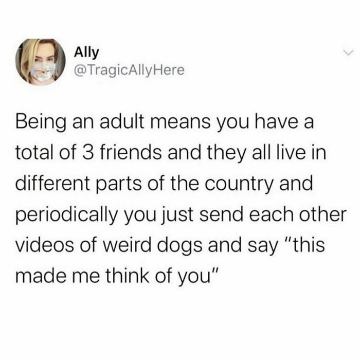 “Blessing Your Timeline ✨” @tragicallyhere