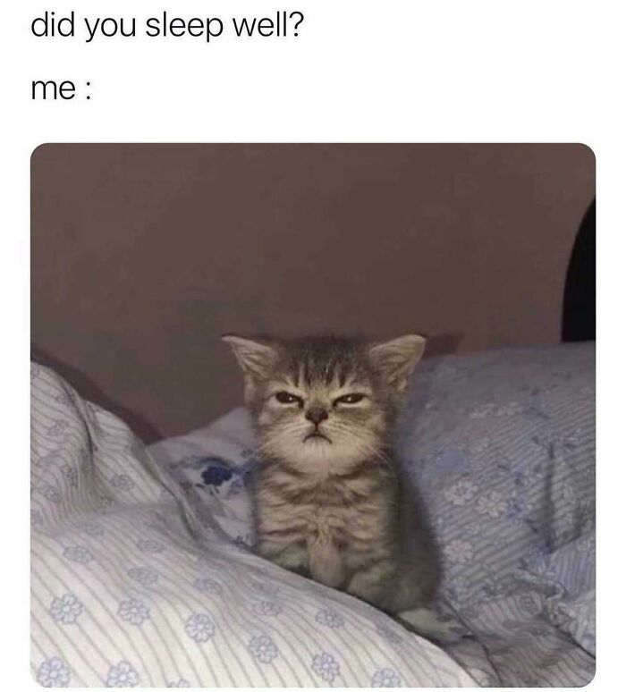 I Don’t Know What “Well” Even Means Anymore Tbh @myrealitysays