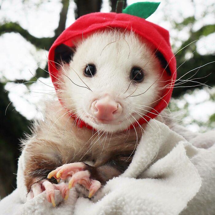 Goodnight Lovely Friends!