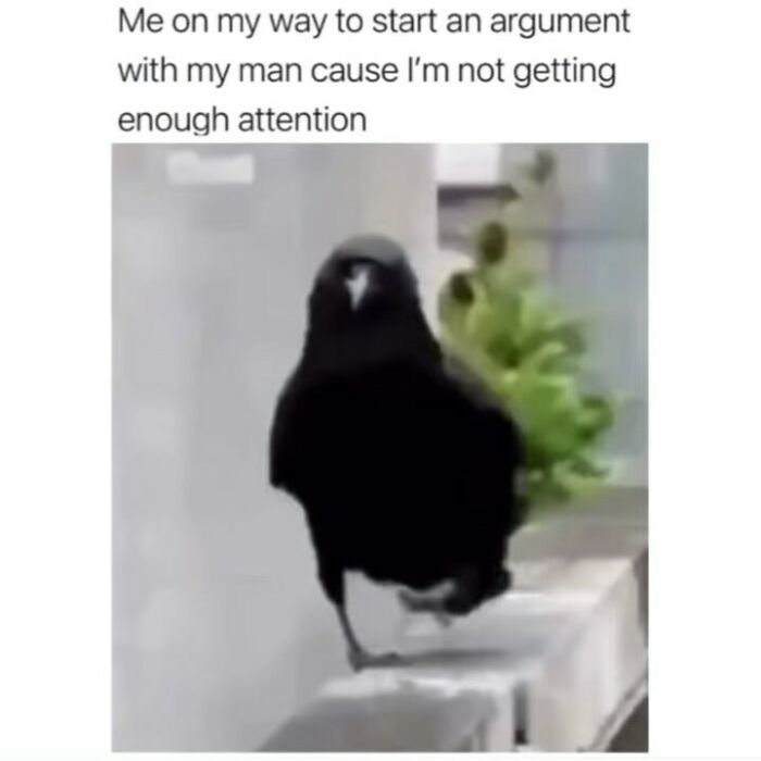 “I Just Think It’s Funny How”