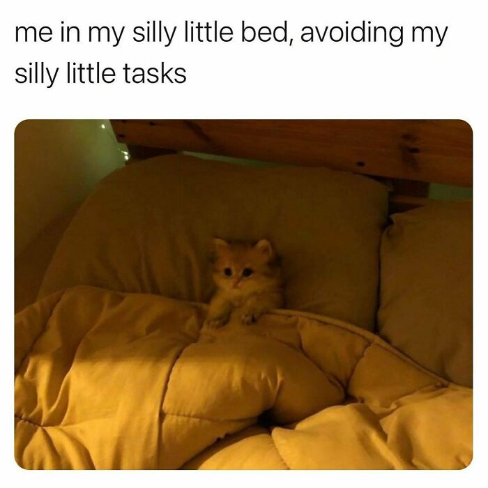 Responsibilities? I Don’t Know Her @mybestiesays