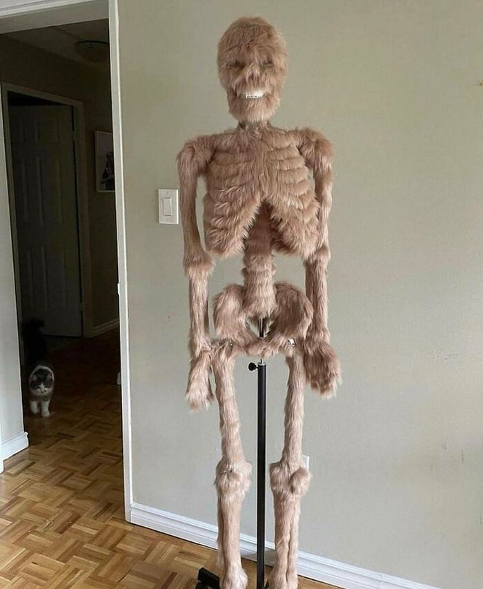 This Reminds Me Of The Rotting Seal Corpse I Saw The Last Time I Went To The Coast