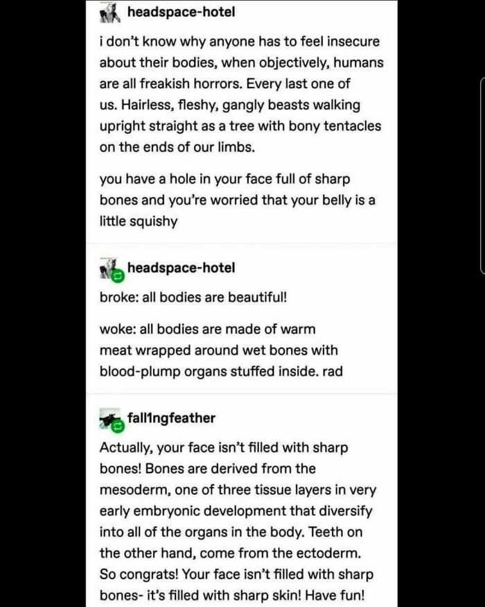 Ominous-Positivity-Jokes