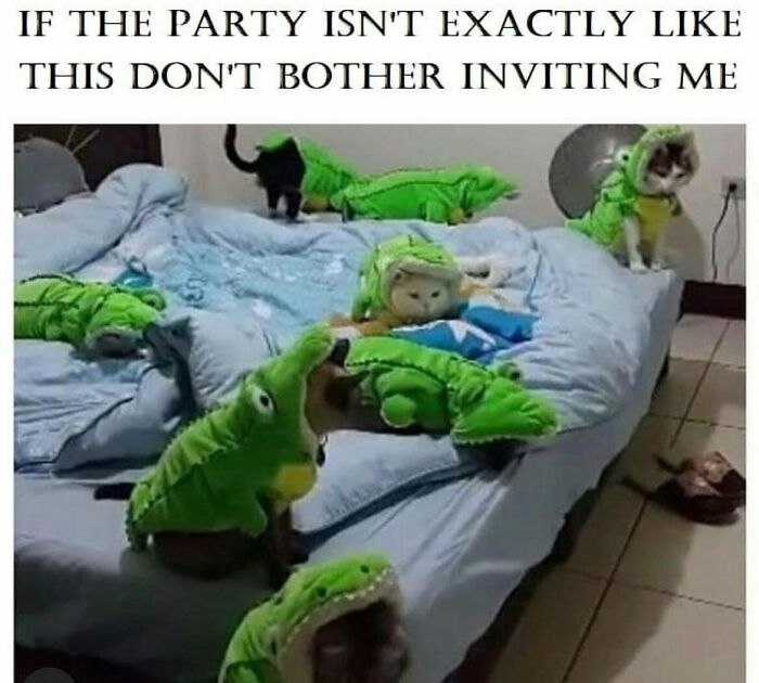 The Only Scenario In Which I Will Agree To Attend Your Party