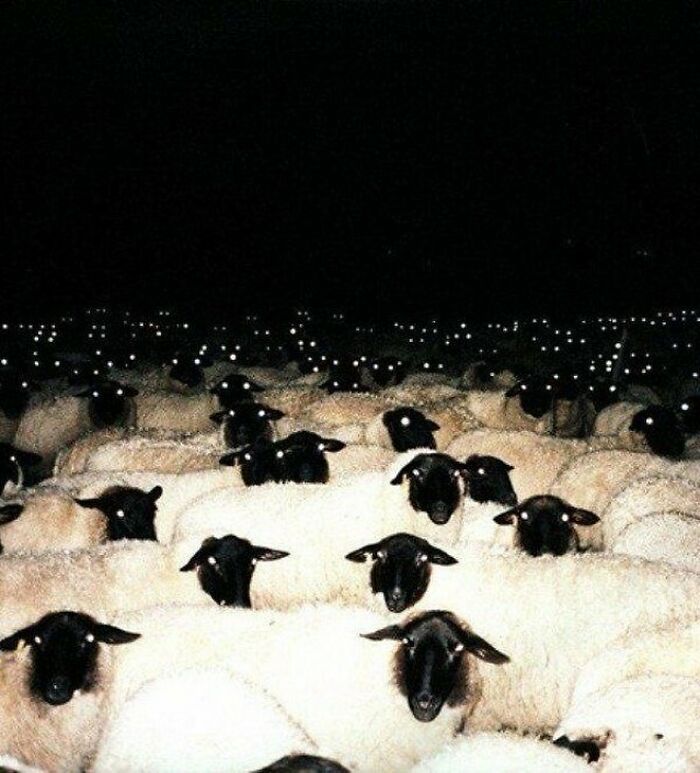 I’m So Yassered I’m About To Fall Aslay 😩