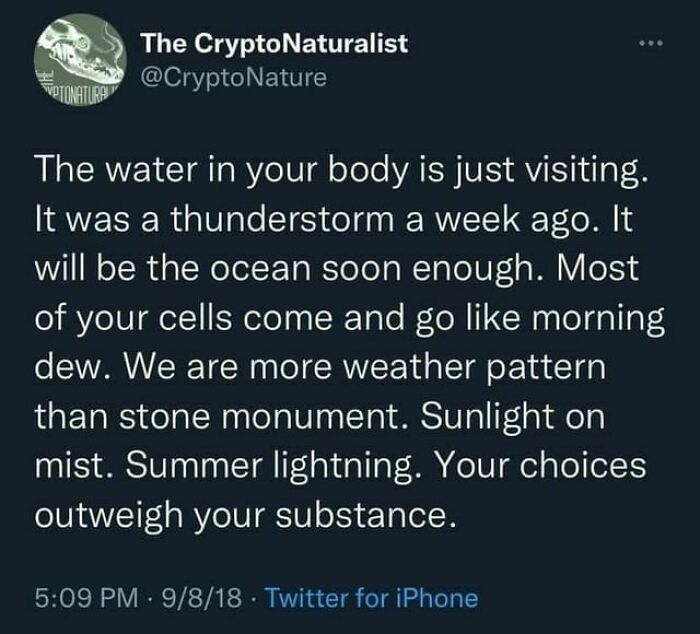 Ominous-Positivity-Jokes