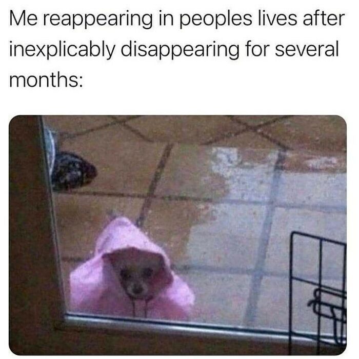 Bonjour Bitches @mypuppysays