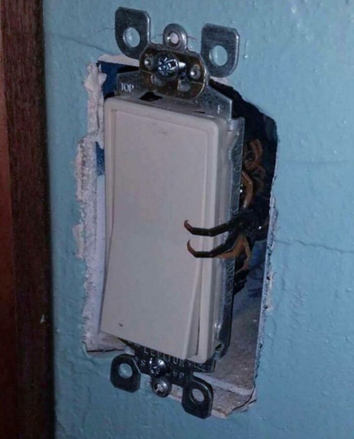 I Want What Fez And Lexi Have 🥺