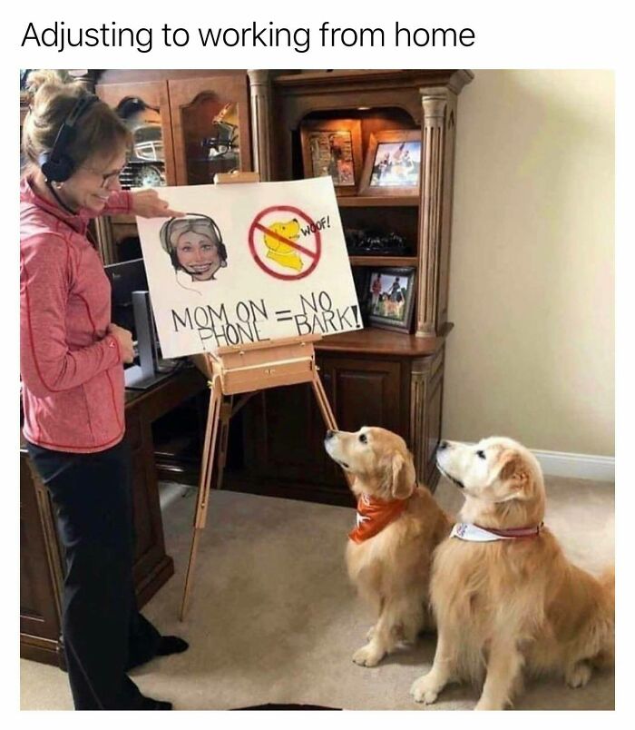 They Seem To Understand Though