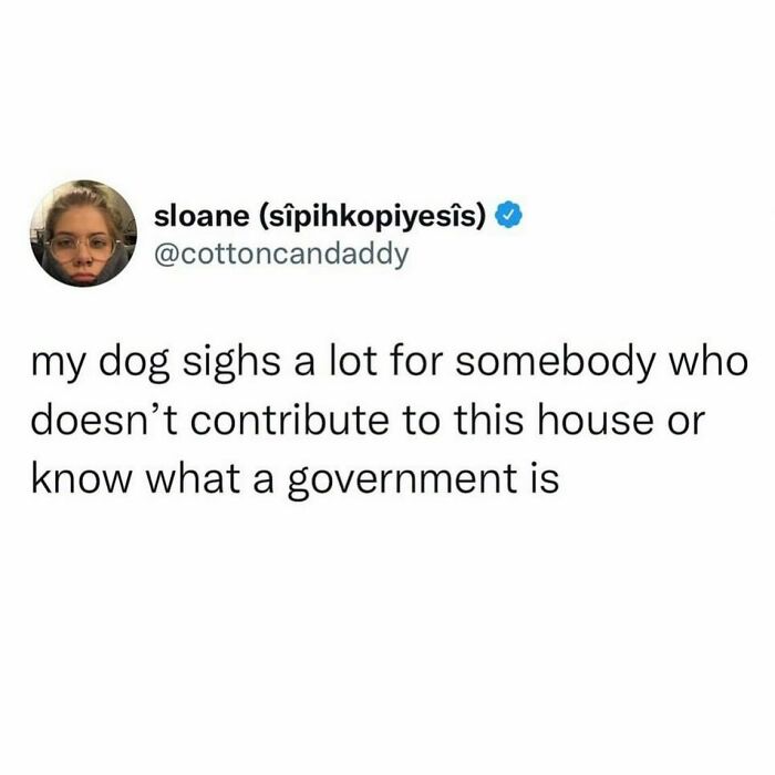 Ruff Life
@cottoncandaddy