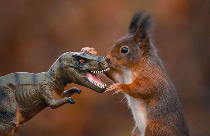 Squirrel Photographer Pays A Tribute To Steven Spielberg's Jurrasic Park