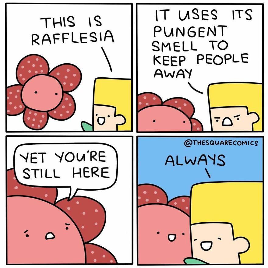 Comics That Are Perfect For People Who Have A Dark Sense Of Humor By The Square Comics (New Pics)