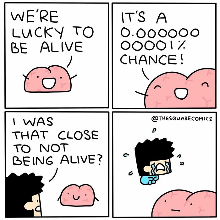 A dark humor comic by The Square Comics shows a brain discussing the rare chance of being alive with a crying character.