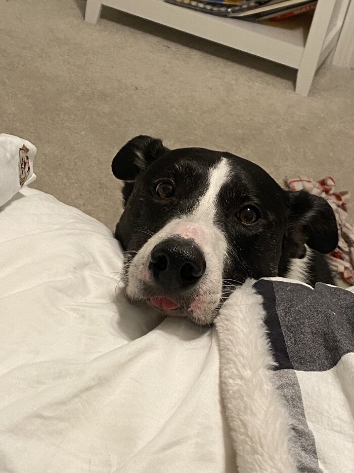 “That's For Me?”