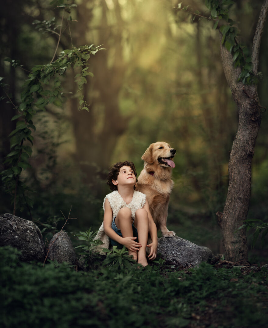 The Sounds Of The Forest