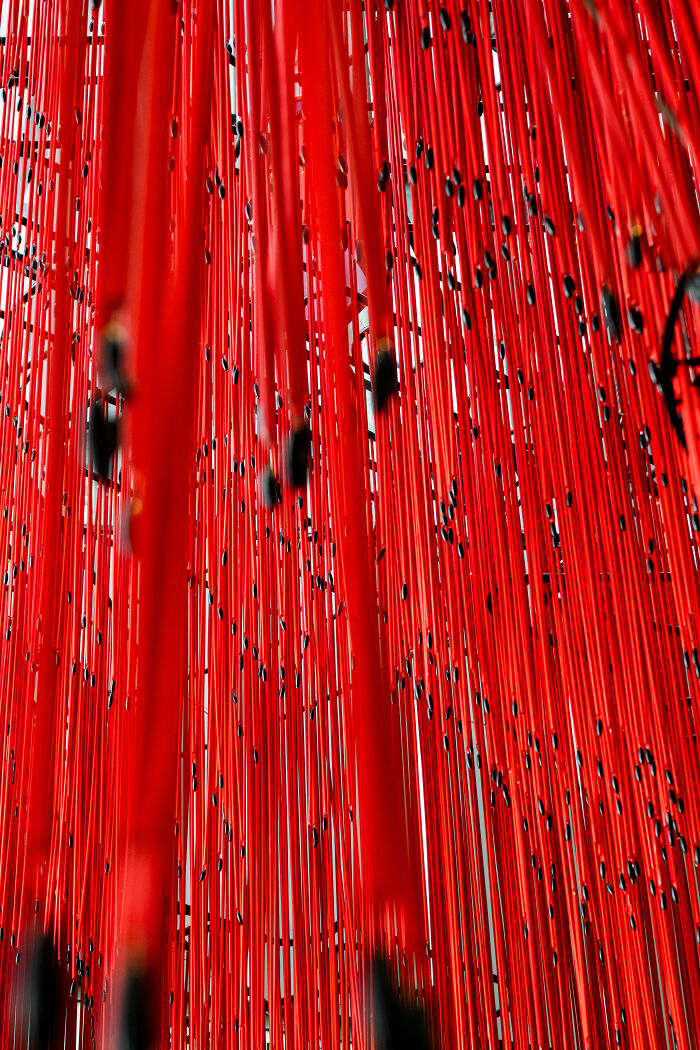 "Memory Veil": 10,000 Strands Of Red String Beads Art Installation (20 Pics) "Memory Veil": 10,000 Strands Of Red String Beads Art Installation (20 Pics)
