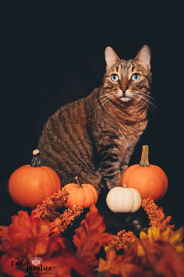 Auster During Our Halloween Photoshoot