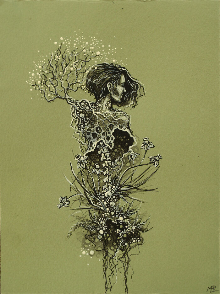 I Create Fantastical Sculptures And Illustrations Inspired By Nature