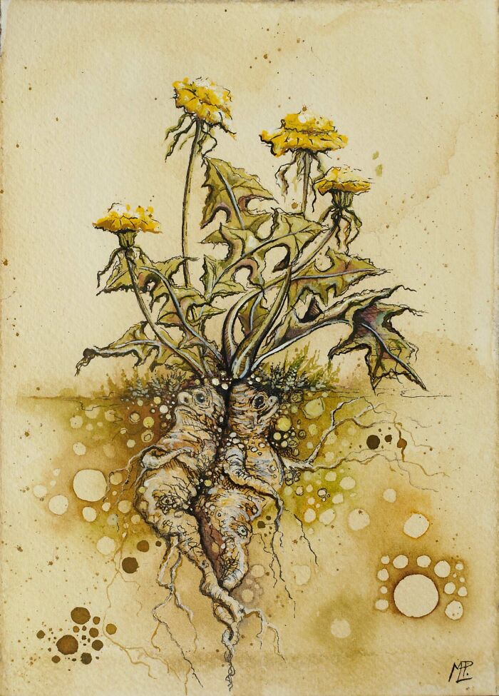 I Create Fantastical Sculptures And Illustrations Inspired By Nature