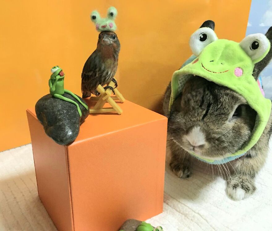 Kiss Me, I Am Your Prince