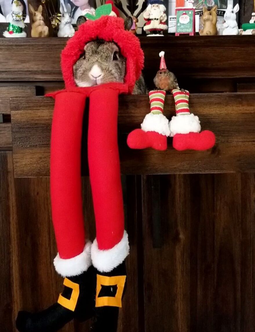 Dot Amd Sticky On The Shelf