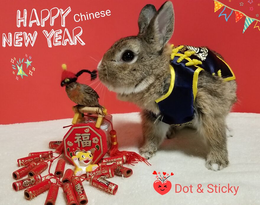 Hope 2022 Brings You Lots Of Love & Luck