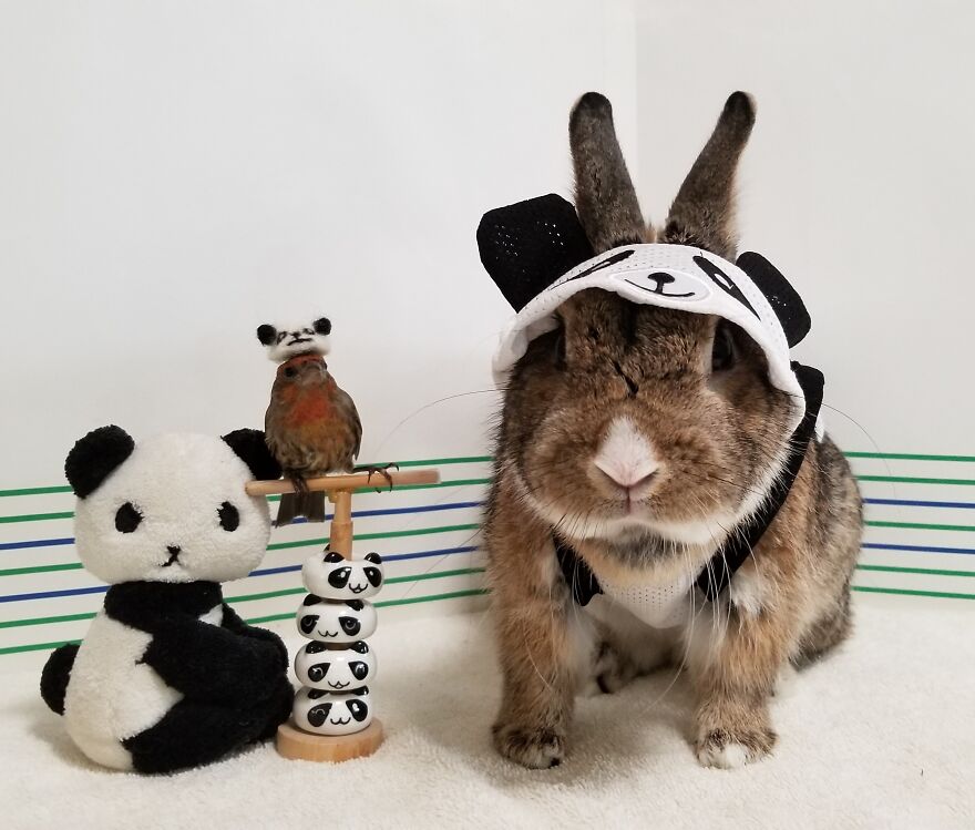 Dot And Sticky's Daily Photos