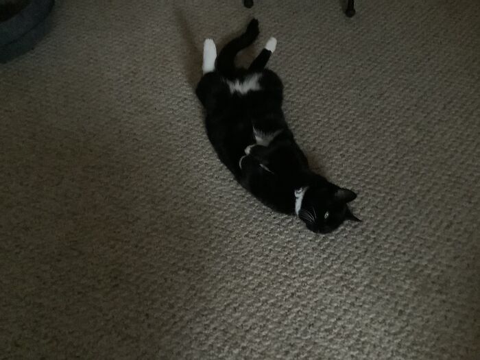 Miss Maleficent My Beautiful Girl❤️