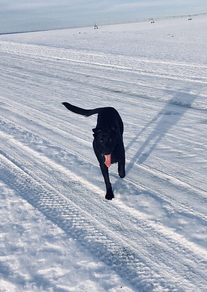 Lucky Coming In Fast