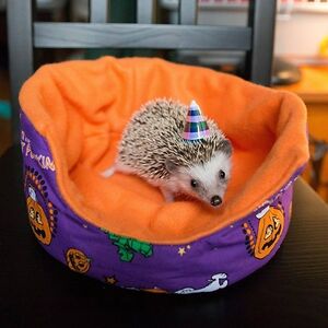 kathrynhatfield avatar