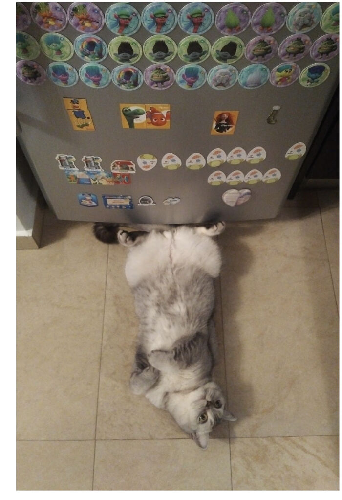 …my Toy Is There… Alice Cooper!!!