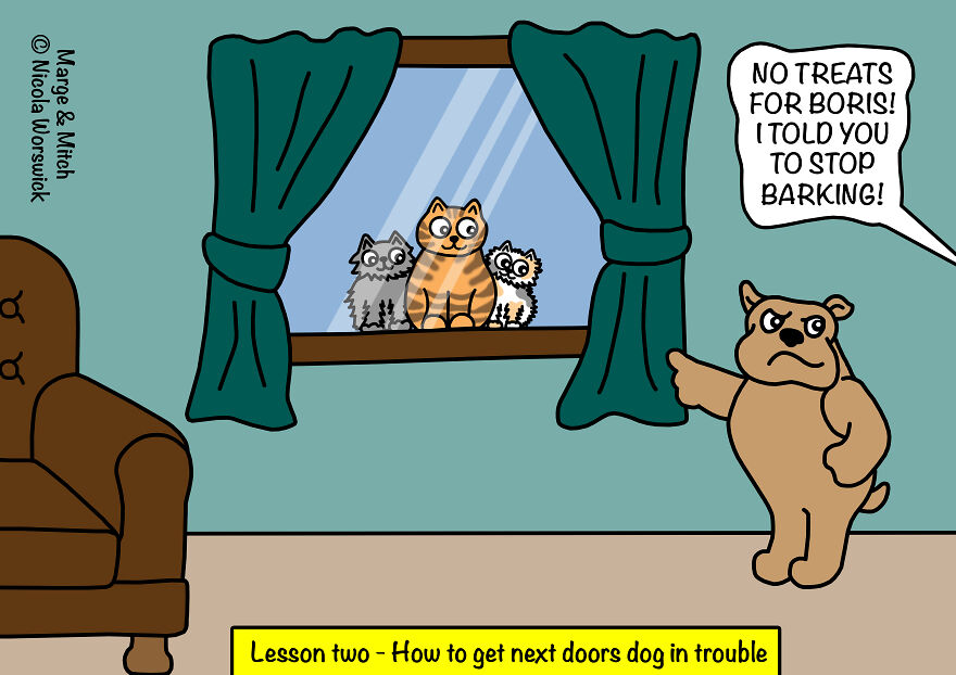 No Treats For Boris!