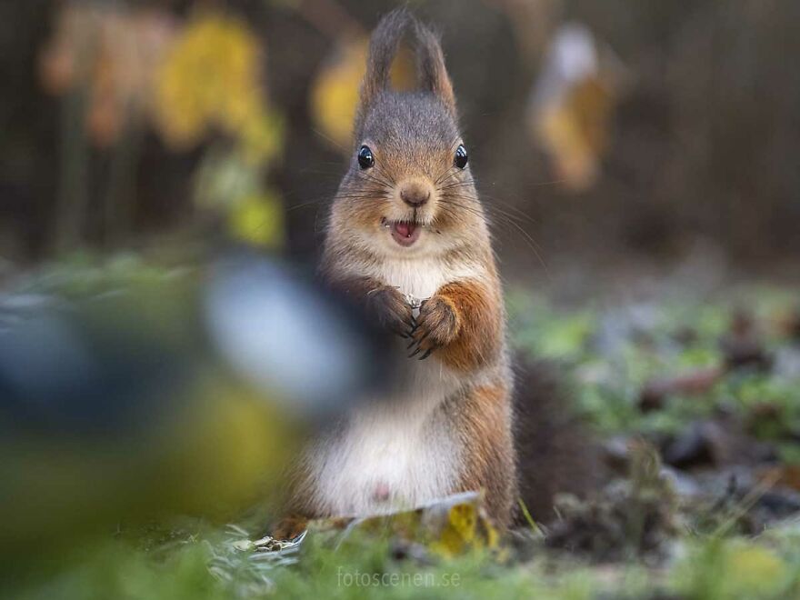 Hey! Get Out Of The Way!