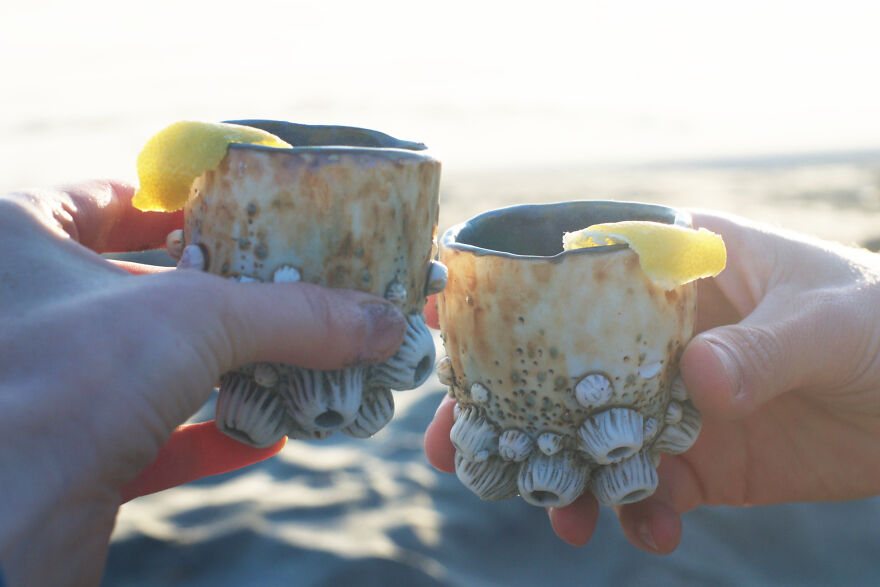 Barnacle cups