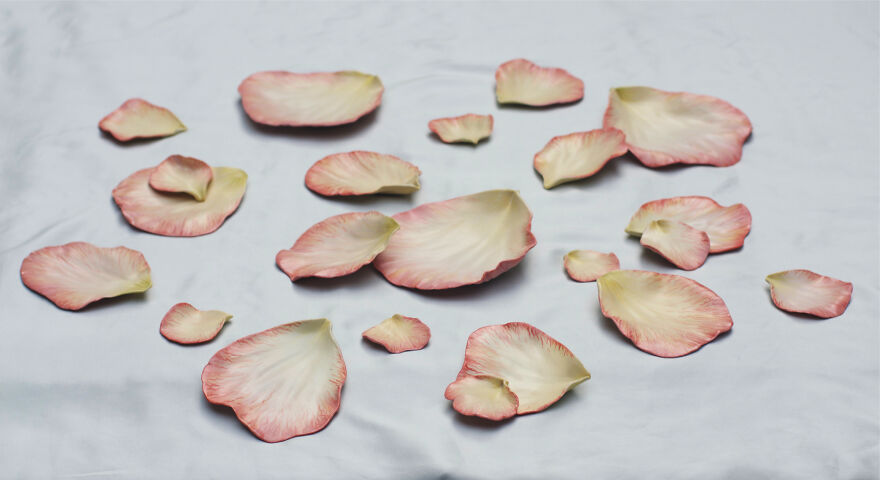 Rose petal plates