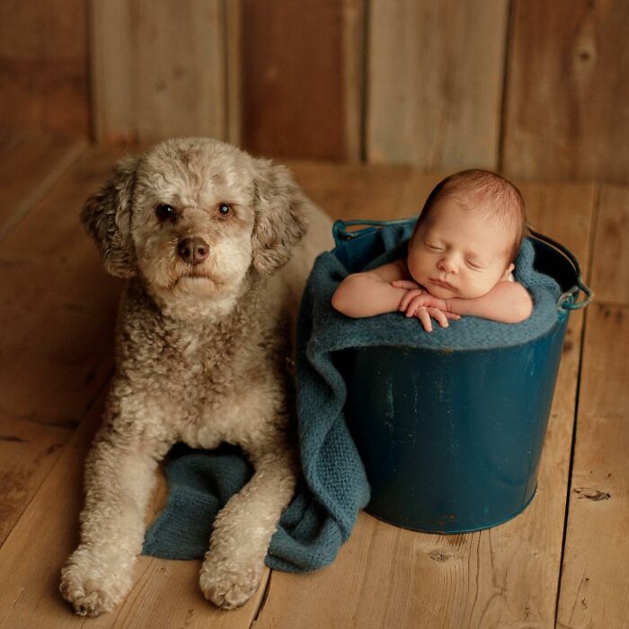 I Photograph Families And Their Dogs