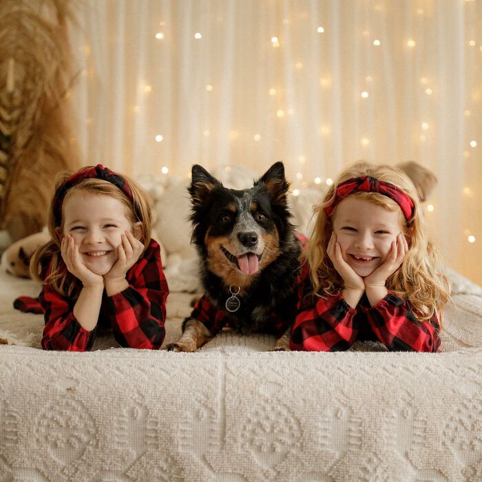 I Photograph Families And Their Dogs